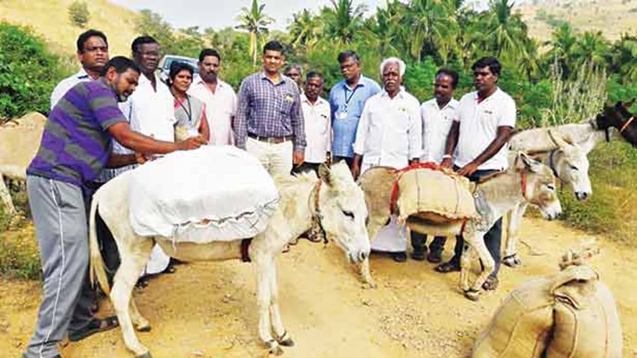 கழுதைகளில் ஏற்றப்பட்ட பொங்கல் பரிசு..! மலைகிராம மக்களுக்கு தொடரும் அவலம்..! கழுதைகளில் ஏற்றப்பட்ட பொங்கல் பரிசு..! மலைகிராம மக்களுக்கு தொடரும் அவலம்..!