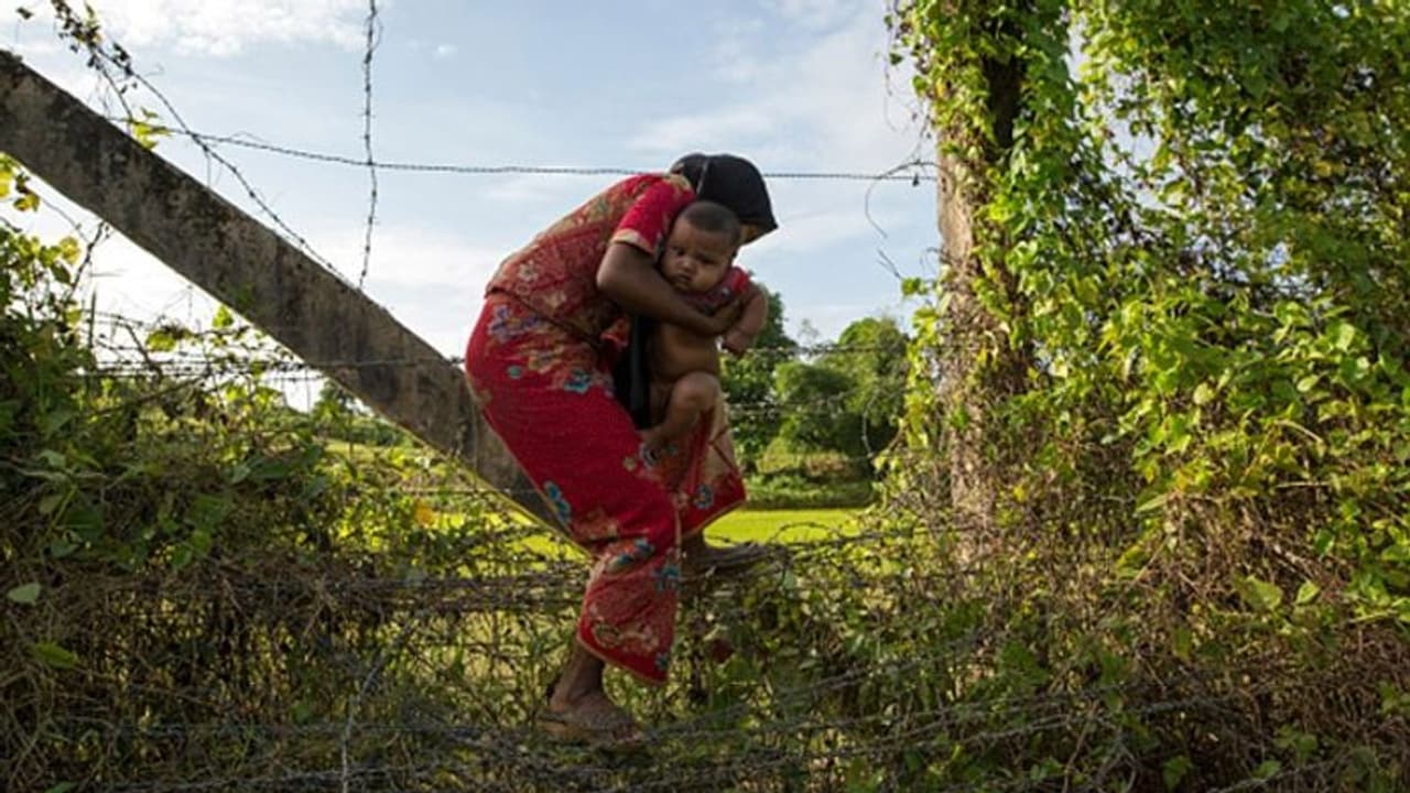 গুলি খেয়ে কাঁটাতারে ঝুলছে ফেলানি, ন বছর পরেও বিচার পেল না পরিবার গুলি খেয়ে কাঁটাতারে ঝুলছে ফেলানি, ন বছর পরেও বিচার পেল না পরিবার