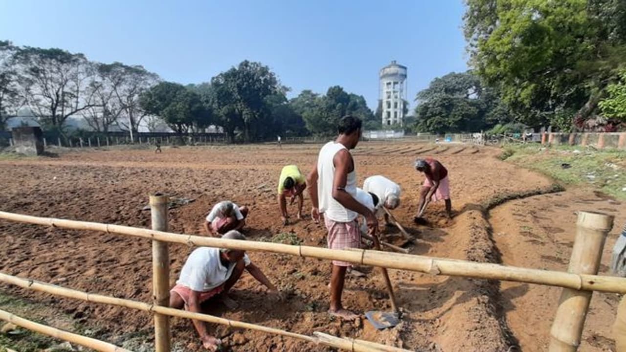 মেদিনীপুর জেল থেকে তৈরী হবে ঔষধি, চাষ করছেন বন্দীরা মেদিনীপুর জেল থেকে তৈরী হবে ঔষধি, চাষ করছেন বন্দীরা