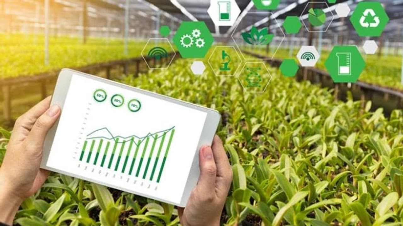 സോഷ്യല് മീഡിയ, ഇന്റര്നെറ്റ്, മൊബൈല് കര്ഷകര്ക്ക് ലാഭം നേടിക്കൊടുക്കാന് ഇവയും പ്രധാനം സോഷ്യല് മീഡിയ, ഇന്റര്നെറ്റ്, മൊബൈല് കര്ഷകര്ക്ക് ലാഭം നേടിക്കൊടുക്കാന് ഇവയും പ്രധാനം