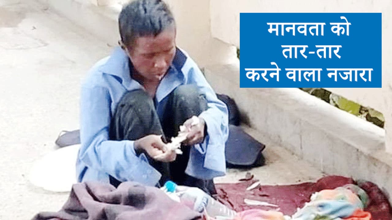 शर्मनाक तस्वीर: भूख से तड़प रही महिला खा गई जिंदा कबूतर, किसी ने नहीं दी उसको 1 रोटी शर्मनाक तस्वीर: भूख से तड़प रही महिला खा गई जिंदा कबूतर, किसी ने नहीं दी उसको 1 रोटी