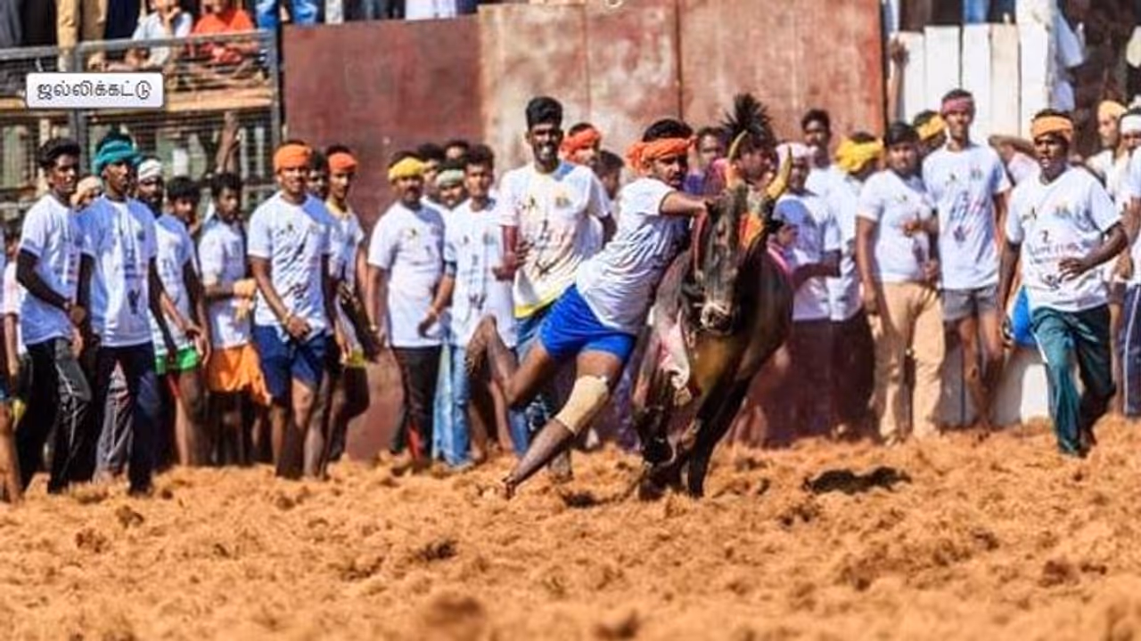 இனி அதுக்கு 21 வயசு ஆகனும்..! அரசு போட்ட அதிரடி உத்தரவு..! இனி அதுக்கு 21 வயசு ஆகனும்..! அரசு போட்ட அதிரடி உத்தரவு..!