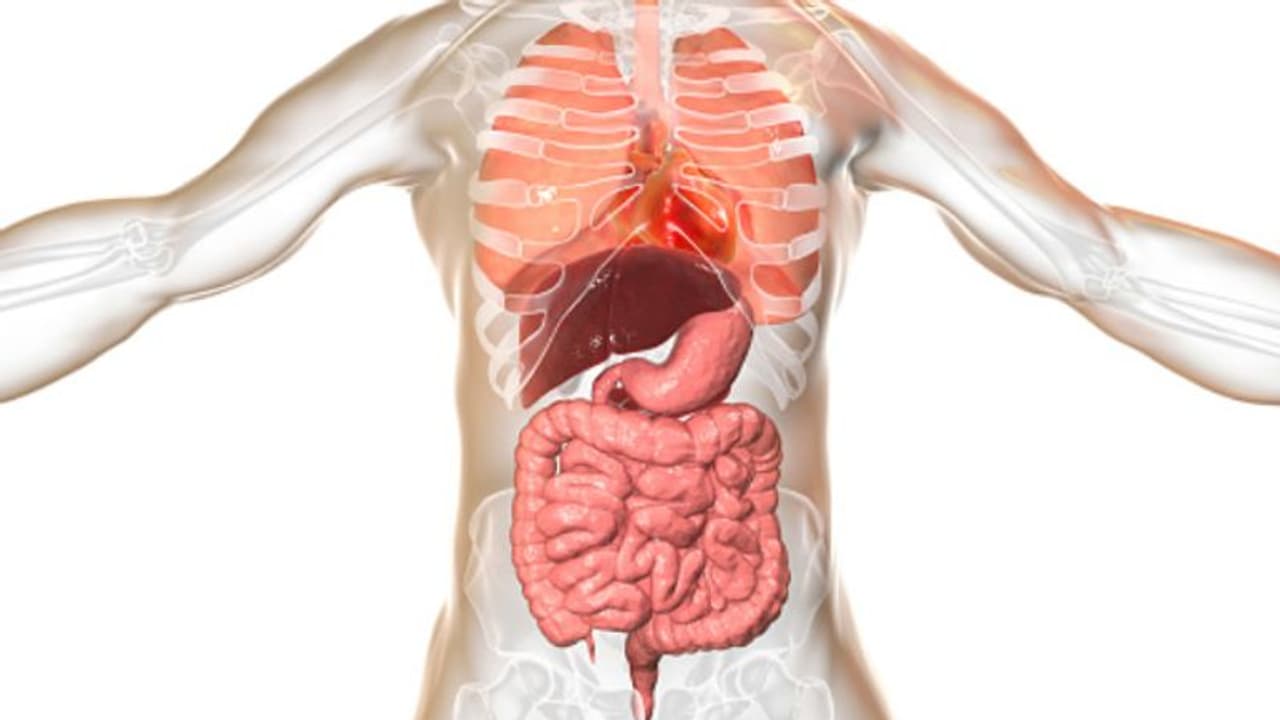 এই রোগে আক্রান্ত যুক্তরাষ্ট্রের প্রায় ২ কোটি মানুষ, জানুন সেলিয়াক এর বিশেষত্ব এই রোগে আক্রান্ত যুক্তরাষ্ট্রের প্রায় ২ কোটি মানুষ, জানুন সেলিয়াক এর বিশেষত্ব