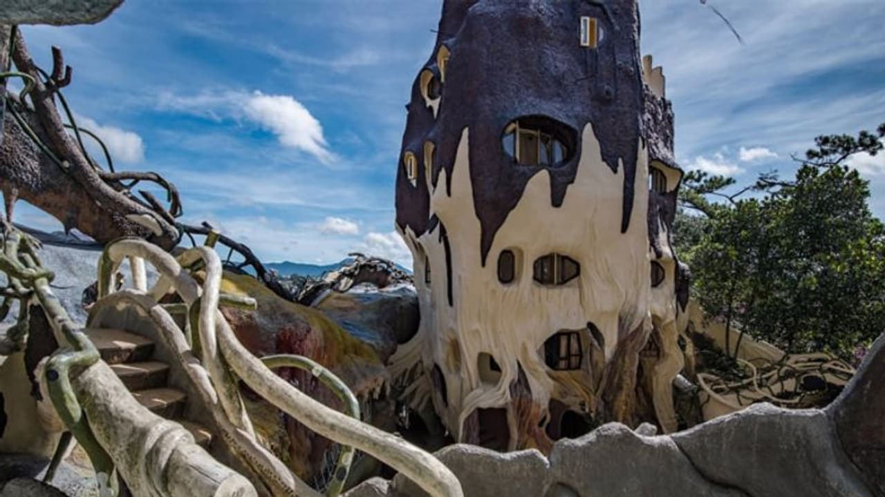 വന്യം, വിചിത്രം, അതിശയകരം; സഞ്ചാരികള്ക്ക് അദ്ഭുതമായി വിയറ്റ്നാമിലെ 'ക്രേസി ഹൗസ്' വന്യം, വിചിത്രം, അതിശയകരം; സഞ്ചാരികള്ക്ക് അദ്ഭുതമായി വിയറ്റ്നാമിലെ 'ക്രേസി ഹൗസ്'