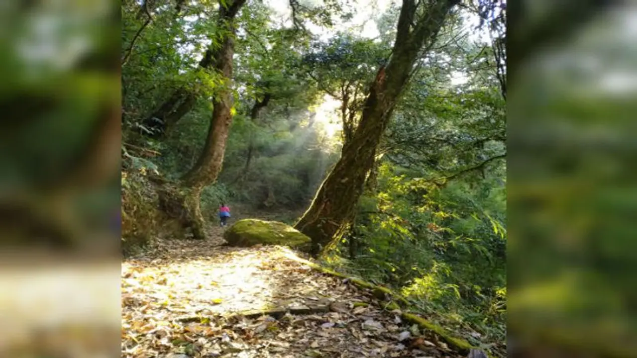 ট্রেকিং করে মজা নিন টেনডং পাহাড়ের, তাহলে চলুন রাভাংলা ট্রেকিং করে মজা নিন টেনডং পাহাড়ের, তাহলে চলুন রাভাংলা