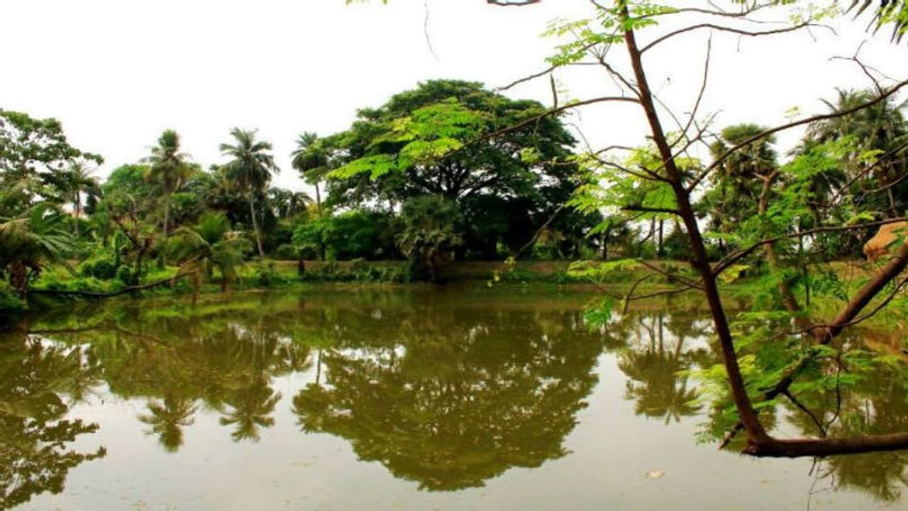 শীতের আমেজ গায়ে মেখে ঘুরে আসুন বাড়ির কাছে দেউলটি