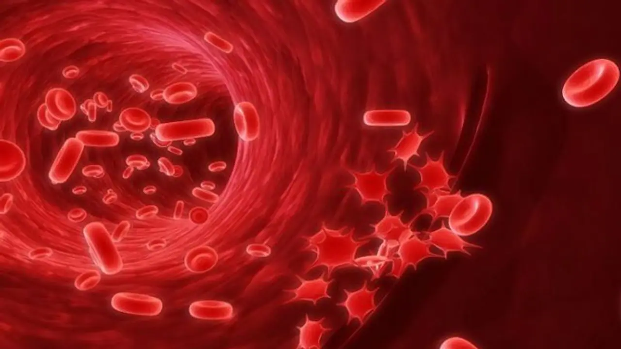 blood platelets blood platelets