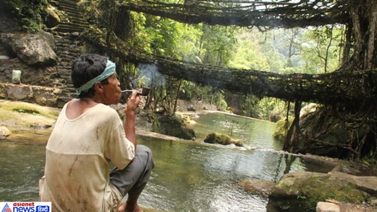 जहां होती है दुनिया की सबसे ज्यादा बारिश, वहां अब पानी को तरस रही है धरती जहां होती है दुनिया की सबसे ज्यादा बारिश, वहां अब पानी को तरस रही है धरती