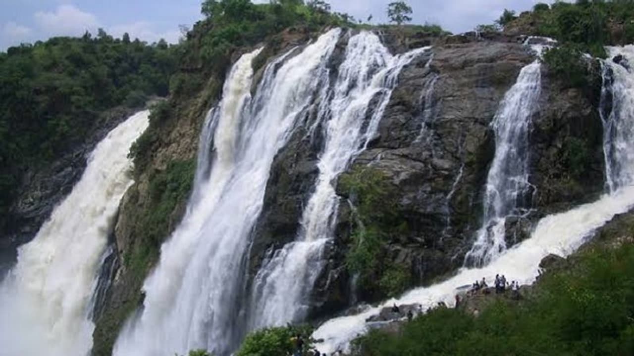 4 ವರ್ಷದ ನಂತರ ಗಗನಚುಕ್ಕಿ ಜಲಪಾತೋತ್ಸವ..! ಸಂಭ್ರಮಕ್ಕೆ ದಿನಗಣನೆ..! 4 ವರ್ಷದ ನಂತರ ಗಗನಚುಕ್ಕಿ ಜಲಪಾತೋತ್ಸವ..! ಸಂಭ್ರಮಕ್ಕೆ ದಿನಗಣನೆ..!