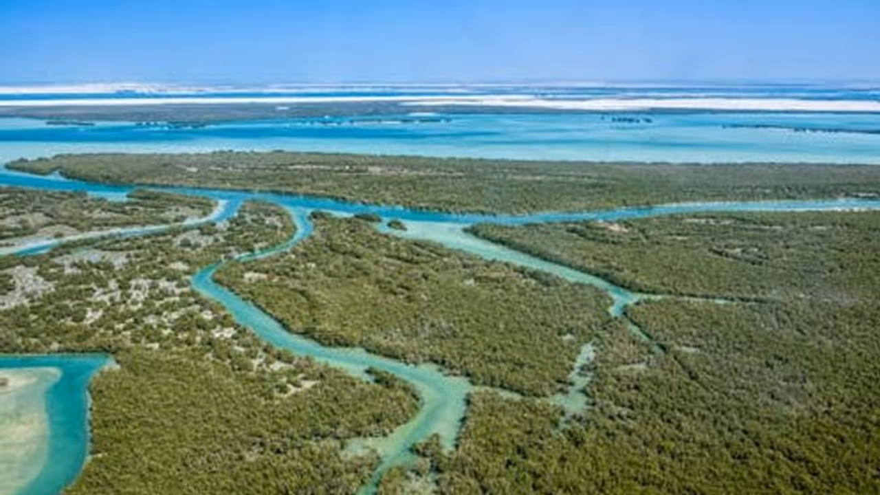 തീരദേശ പരിപാലന നിയമത്തിൽ കേരളത്തിന് ഇളവുകൾ നൽകി കേന്ദ്രം; സംസ്ഥാനത്തെ 66 പഞ്ചായത്തുകൾക്ക് ആശ്വാസം തീരദേശ പരിപാലന നിയമത്തിൽ കേരളത്തിന് ഇളവുകൾ നൽകി കേന്ദ്രം; സംസ്ഥാനത്തെ 66 പഞ്ചായത്തുകൾക്ക് ആശ്വാസം