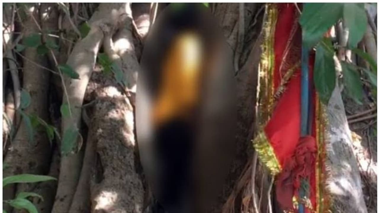ദളിത് പെൺകുട്ടിയെ കാണാതായപ്പോൾ ഗുജറാത്ത് പൊലീസ് പറഞ്ഞു, 'അവൾ സേഫാണ്', ഒടുവിൽ കണ്ടെത്തിയത് മരത്തിൽ കെട്ടിത്തൂക്കിയ നിലയിൽ ദളിത് പെൺകുട്ടിയെ കാണാതായപ്പോൾ ഗുജറാത്ത് പൊലീസ് പറഞ്ഞു, 'അവൾ സേഫാണ്', ഒടുവിൽ കണ്ടെത്തിയത് മരത്തിൽ കെട്ടിത്തൂക്കിയ നിലയിൽ