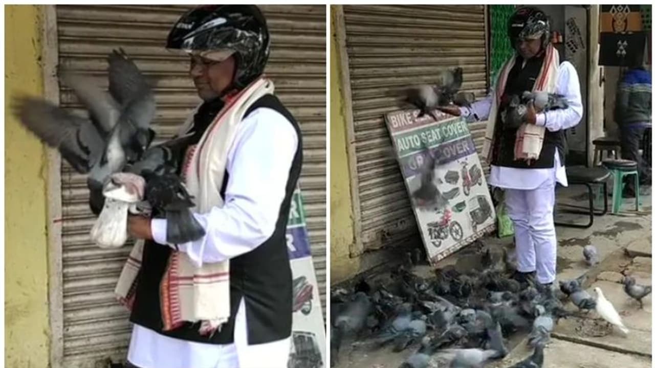 ഒഡീഷയിലെ ട്രാഫിക് പോലീസുകാരൻ എങ്ങനെയാണ് 'ബേർഡ്മാൻ' ആയത്? ഒഡീഷയിലെ ട്രാഫിക് പോലീസുകാരൻ എങ്ങനെയാണ് 'ബേർഡ്മാൻ' ആയത്?