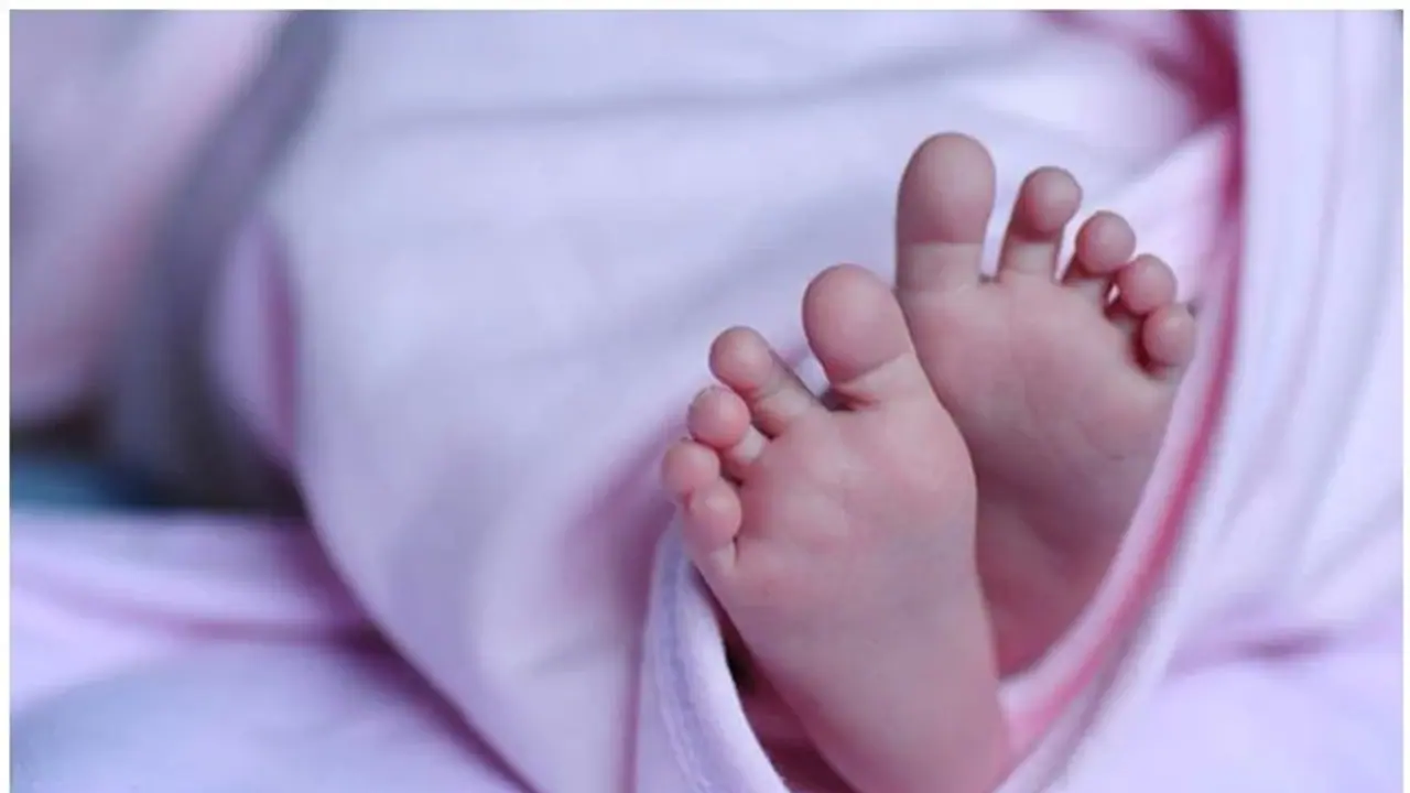 போலியோ சொட்டு மருந்து கொடுக்கப்பட்ட குழந்தை திடீர் சாவு..! திருநெல்வேலியில் அதிர்ச்சி..! போலியோ சொட்டு மருந்து கொடுக்கப்பட்ட குழந்தை திடீர் சாவு..! திருநெல்வேலியில் அதிர்ச்சி..!