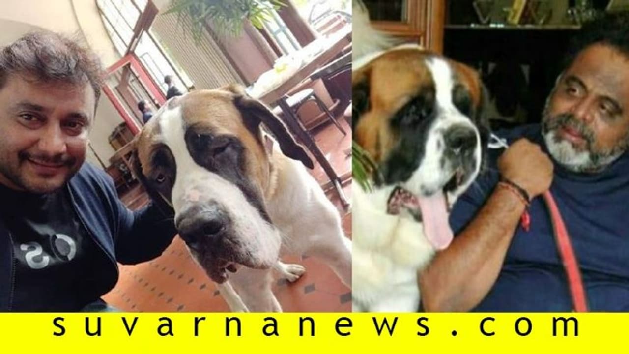 ಅಂಬಿ ಮನೆಗೆ ರಾಬರ್ಟ್ ವಿಸಿಟ್; ಕನ್ವರ್ ಲಾಲ್ ಜೊತೆ ಫೋಟೋ ಸೂಪರ್! ಅಂಬಿ ಮನೆಗೆ ರಾಬರ್ಟ್ ವಿಸಿಟ್; ಕನ್ವರ್ ಲಾಲ್ ಜೊತೆ ಫೋಟೋ ಸೂಪರ್!