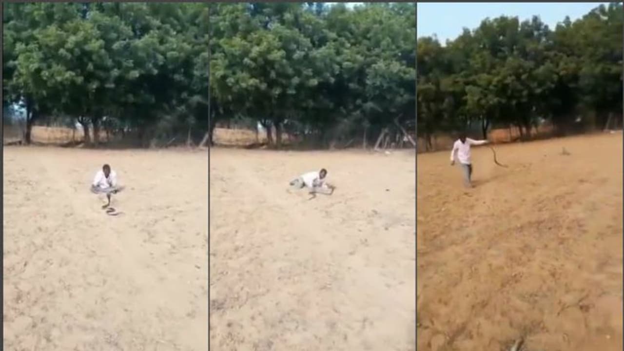 মাতালে কী না করে, বিষাক্ত সাপের সঙ্গে রীতিমতো ছেলেখেলা, দেখুন ভাইরাল ভিডিও মাতালে কী না করে, বিষাক্ত সাপের সঙ্গে রীতিমতো ছেলেখেলা, দেখুন ভাইরাল ভিডিও