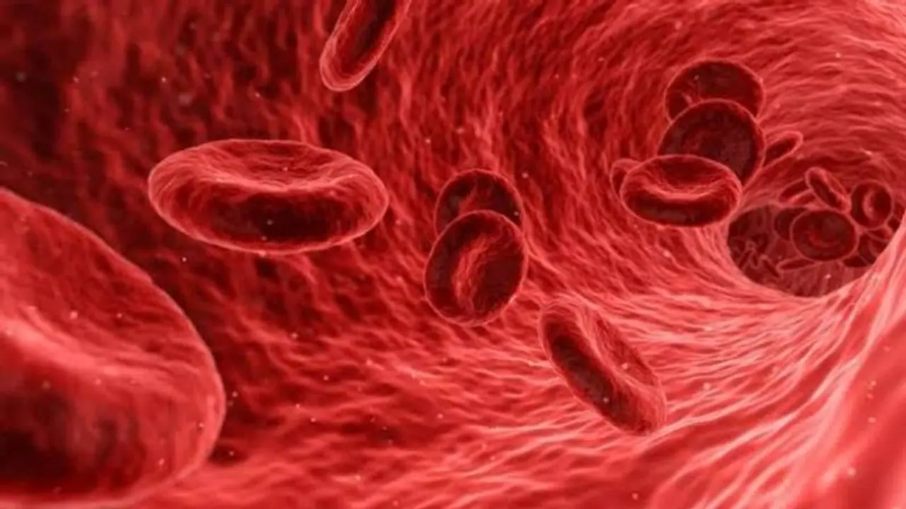 ലുക്കീമിയ; അറിഞ്ഞിരിക്കണം ഈ ലക്ഷണങ്ങള്... ലുക്കീമിയ; അറിഞ്ഞിരിക്കണം ഈ ലക്ഷണങ്ങള്...