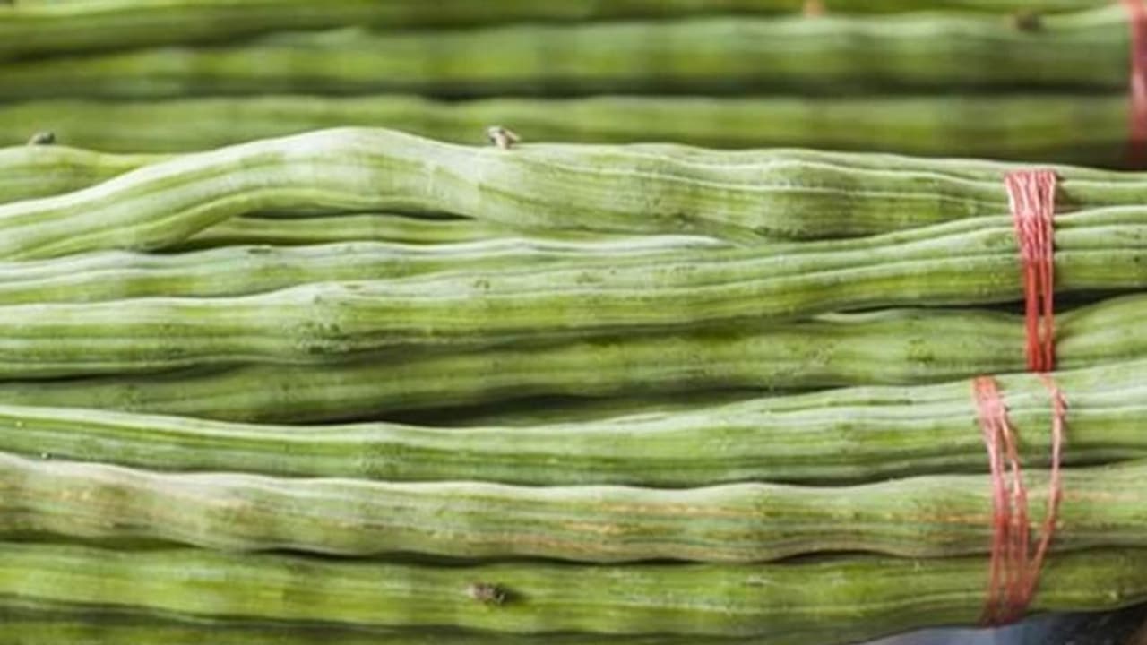 മുരിങ്ങ കൃഷി ചെയ്താല് ലക്ഷങ്ങള് നേടാം; ഉദാഹരണം ഇതാ ഇവിടെയുണ്ട് ! മുരിങ്ങ കൃഷി ചെയ്താല് ലക്ഷങ്ങള് നേടാം; ഉദാഹരണം ഇതാ ഇവിടെയുണ്ട് !