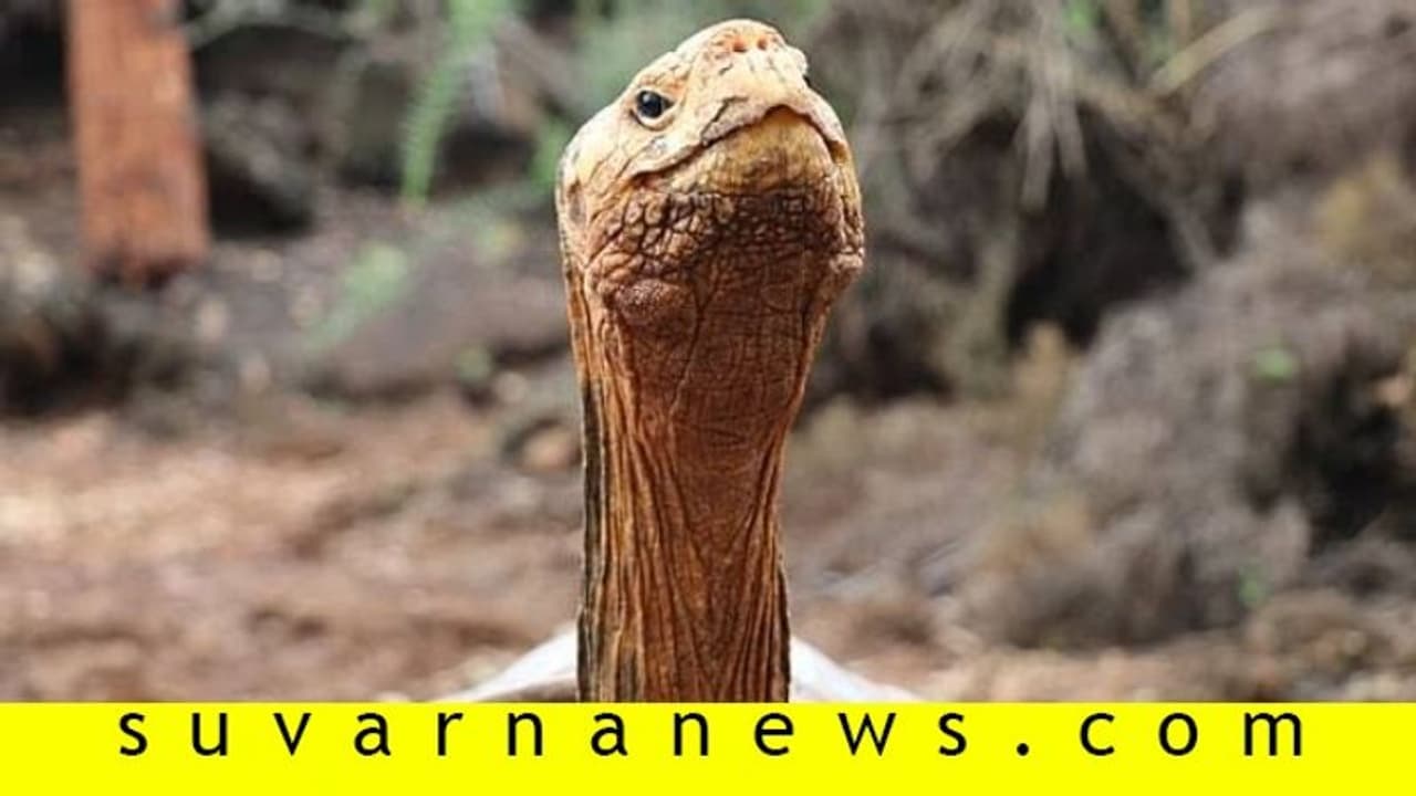 'ಸೆಕ್ಸ್ ಮಷೀನ್' ಖ್ಯಾತಿಯ ಡೈಗೋಗೆ ಪ್ಲೇ ಬಾಯ್ ಲೈಫಿಂದ ಮುಕ್ತಿ! 'ಸೆಕ್ಸ್ ಮಷೀನ್' ಖ್ಯಾತಿಯ ಡೈಗೋಗೆ ಪ್ಲೇ ಬಾಯ್ ಲೈಫಿಂದ ಮುಕ್ತಿ!