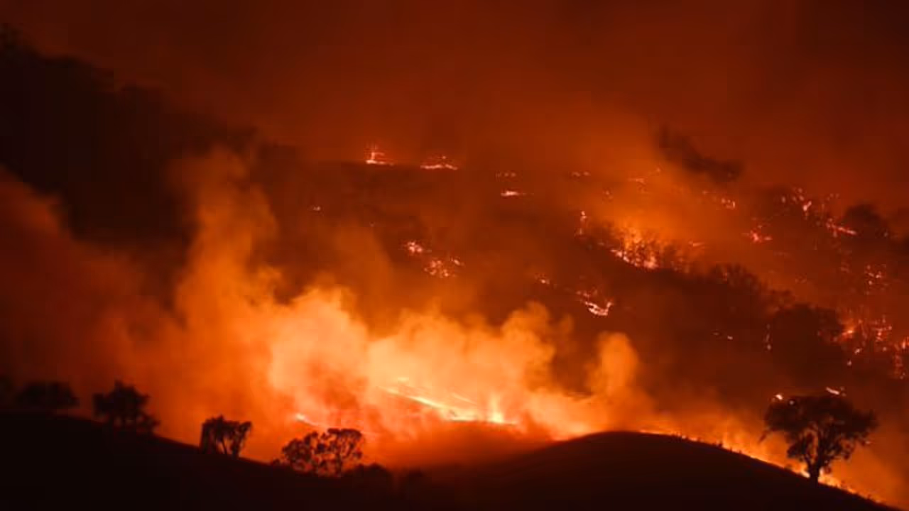 ಗದಗ: ಕಪ್ಪತ್ತಗುಡ್ಡ ಅರಣ್ಯದಲ್ಲಿ ಮತ್ತೆ ಬೆಂಕಿ! ಗದಗ: ಕಪ್ಪತ್ತಗುಡ್ಡ ಅರಣ್ಯದಲ್ಲಿ ಮತ್ತೆ ಬೆಂಕಿ!