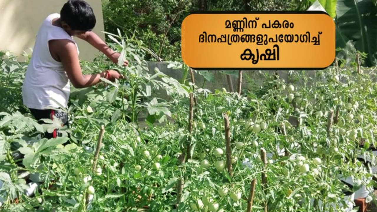 മണ്ണിന് പകരം ദിനപ്പത്രം? ഈ കൃഷി ആരോഗ്യത്തിന് ഹാനികരമോ? മണ്ണിന് പകരം ദിനപ്പത്രം? ഈ കൃഷി ആരോഗ്യത്തിന് ഹാനികരമോ?