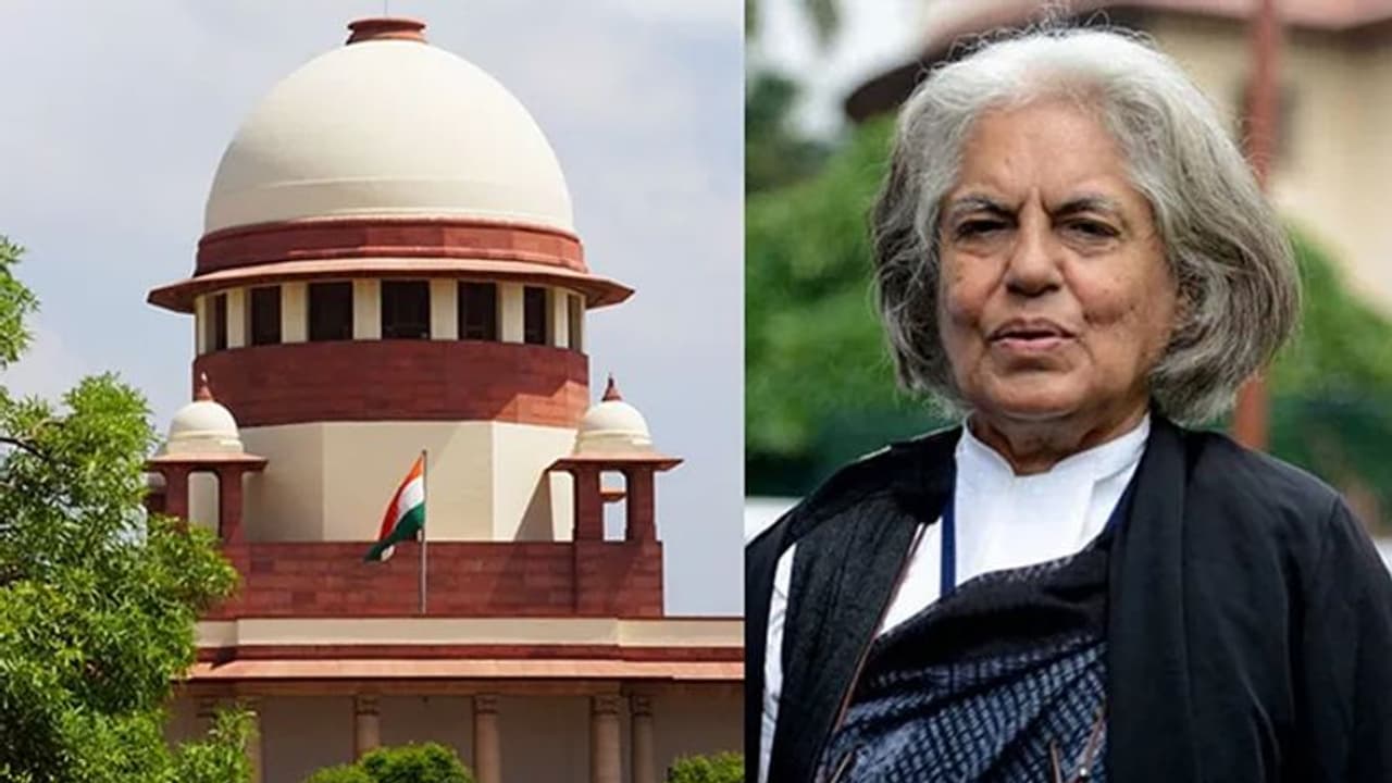 ഒന്‍പതംഗ ബഞ്ച് എന്തിനെന്ന് ബിന്ദു അമ്മിണിയുടെ അഭിഭാഷക; വാദങ്ങള്‍ ഇങ്ങനെ