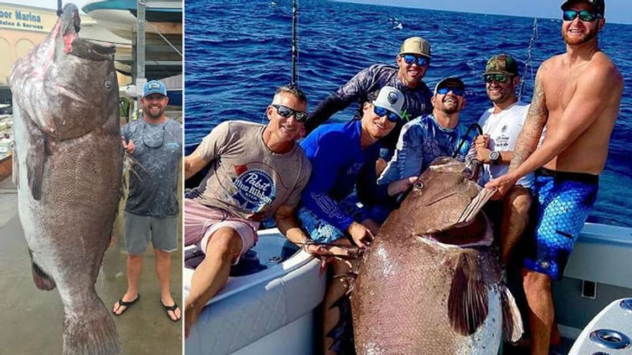 'രാക്ഷസന്‍ മീന്‍'; അപ്രതീക്ഷിതമായി കുരുങ്ങിയ വമ്പന്റെ പ്രായം കേള്‍ക്കണോ?