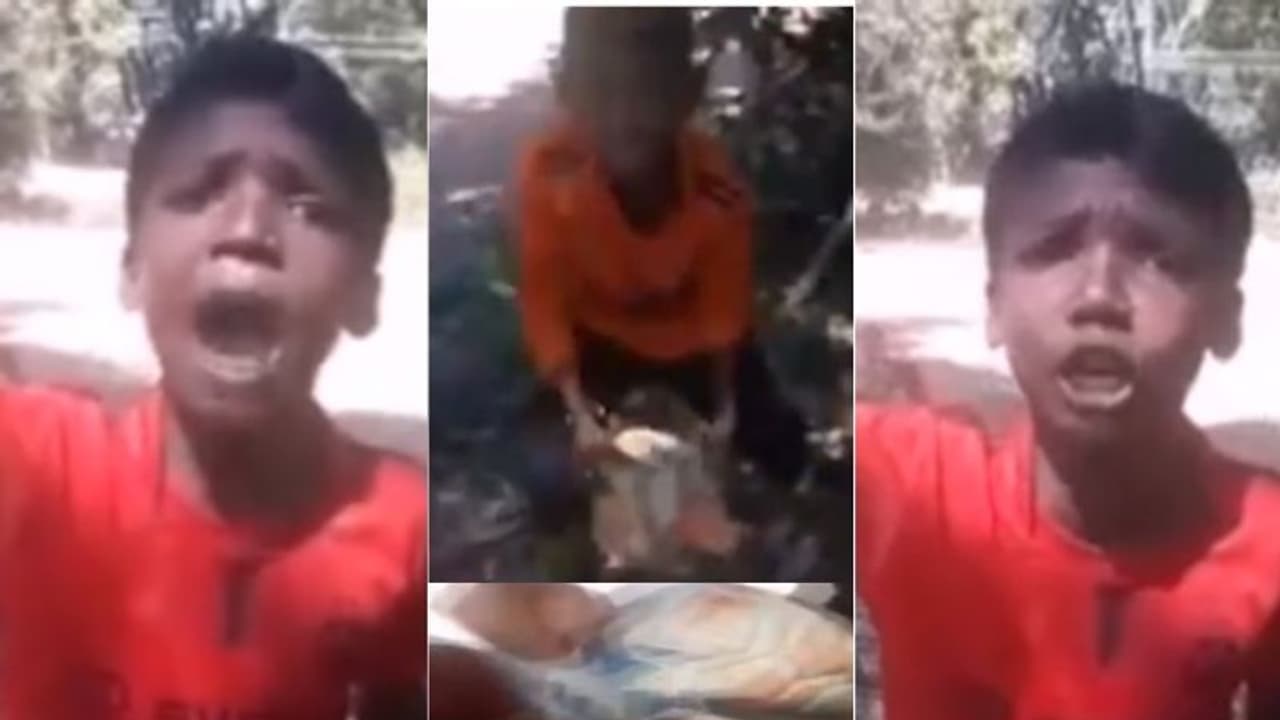 'ചേച്ചി എന്തോത്തിനാ പന്ത് കുത്തിപ്പൊട്ടിച്ചേ..മാന്യമായി പറഞ്ഞാ പോരേ... കട്ട കലിപ്പില് കുട്ടി, വീഡിയോ 'ചേച്ചി എന്തോത്തിനാ പന്ത് കുത്തിപ്പൊട്ടിച്ചേ..മാന്യമായി പറഞ്ഞാ പോരേ... കട്ട കലിപ്പില് കുട്ടി, വീഡിയോ