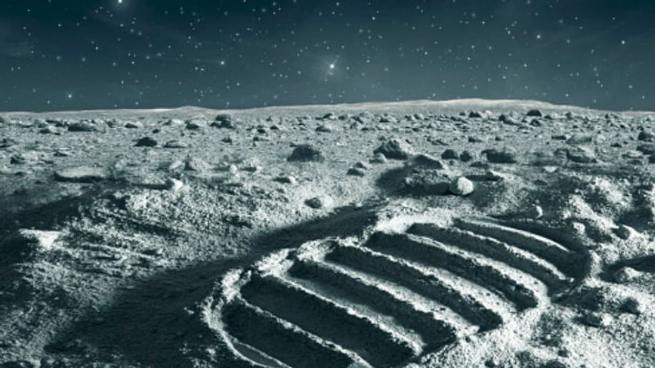 প্রেম হারানোর দুঃখে চললেন সোজা চাঁদে, নতুন সঙ্গিনী খুঁজছেন কোটিপতি