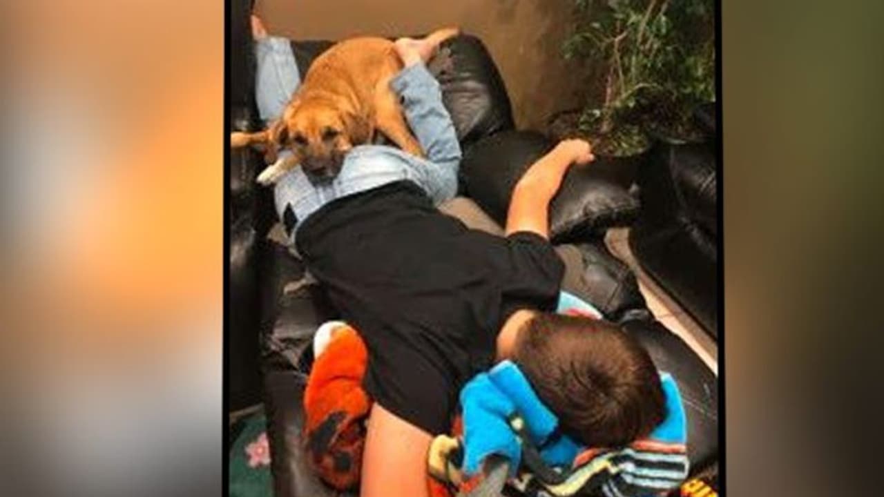 'পাঁজরে দাঁড়ের শব্দ', অতীত আর ভবিষ্য়তের মাঝে দাঁড়িয়ে সে খুঁজে চলেছে তার জীবনকে 'পাঁজরে দাঁড়ের শব্দ', অতীত আর ভবিষ্য়তের মাঝে দাঁড়িয়ে সে খুঁজে চলেছে তার জীবনকে