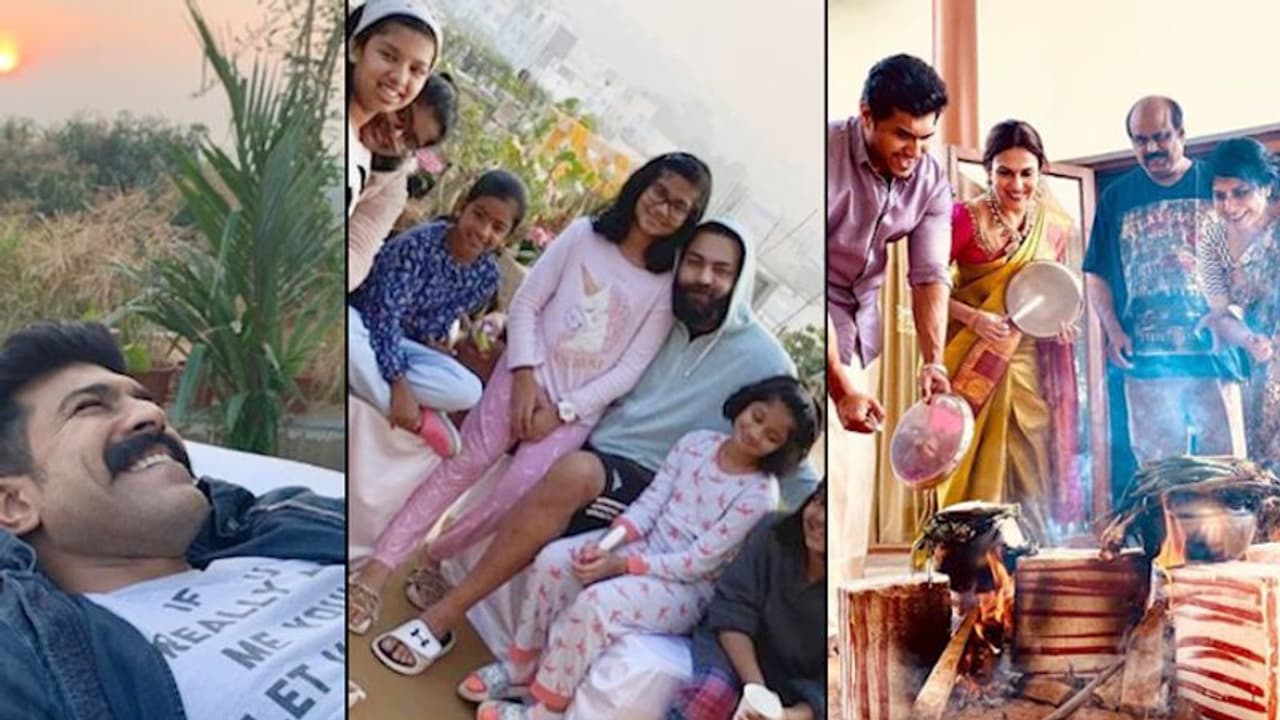 From Trisha to Soundaryaa, celebrities enjoy Pongal Festivities with family (In Pictures) From Trisha to Soundaryaa, celebrities enjoy Pongal Festivities with family (In Pictures)
