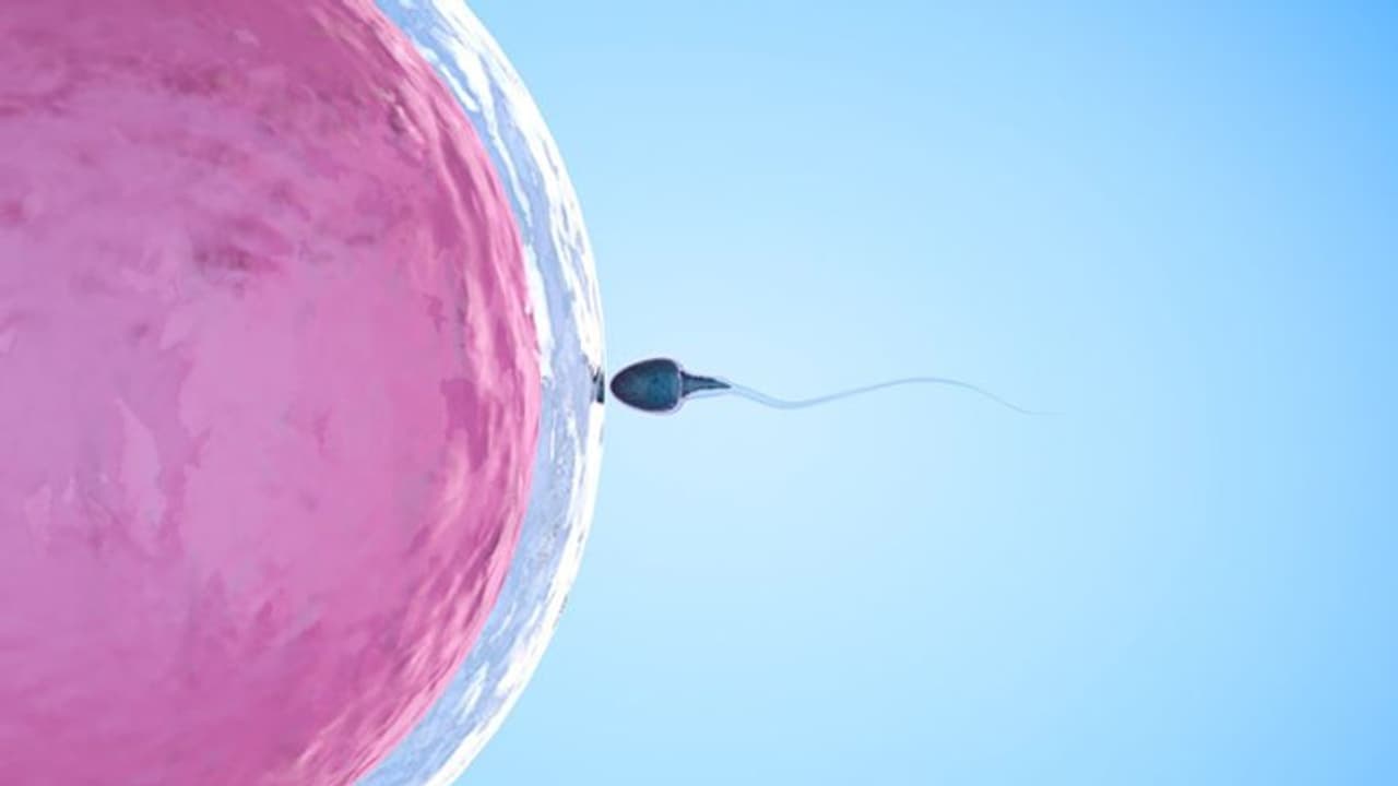 സെമൻ അലർജി; ലക്ഷണങ്ങളും കാരണങ്ങളും സെമൻ അലർജി; ലക്ഷണങ്ങളും കാരണങ്ങളും