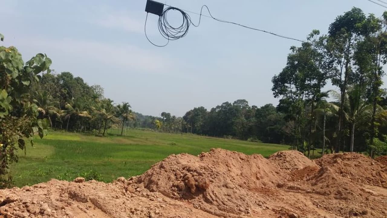 പാലമേൽ നിലംനികത്തൽ വ്യാപകം; അധികൃതർ നോക്കുകുത്തി പാലമേൽ നിലംനികത്തൽ വ്യാപകം; അധികൃതർ നോക്കുകുത്തി