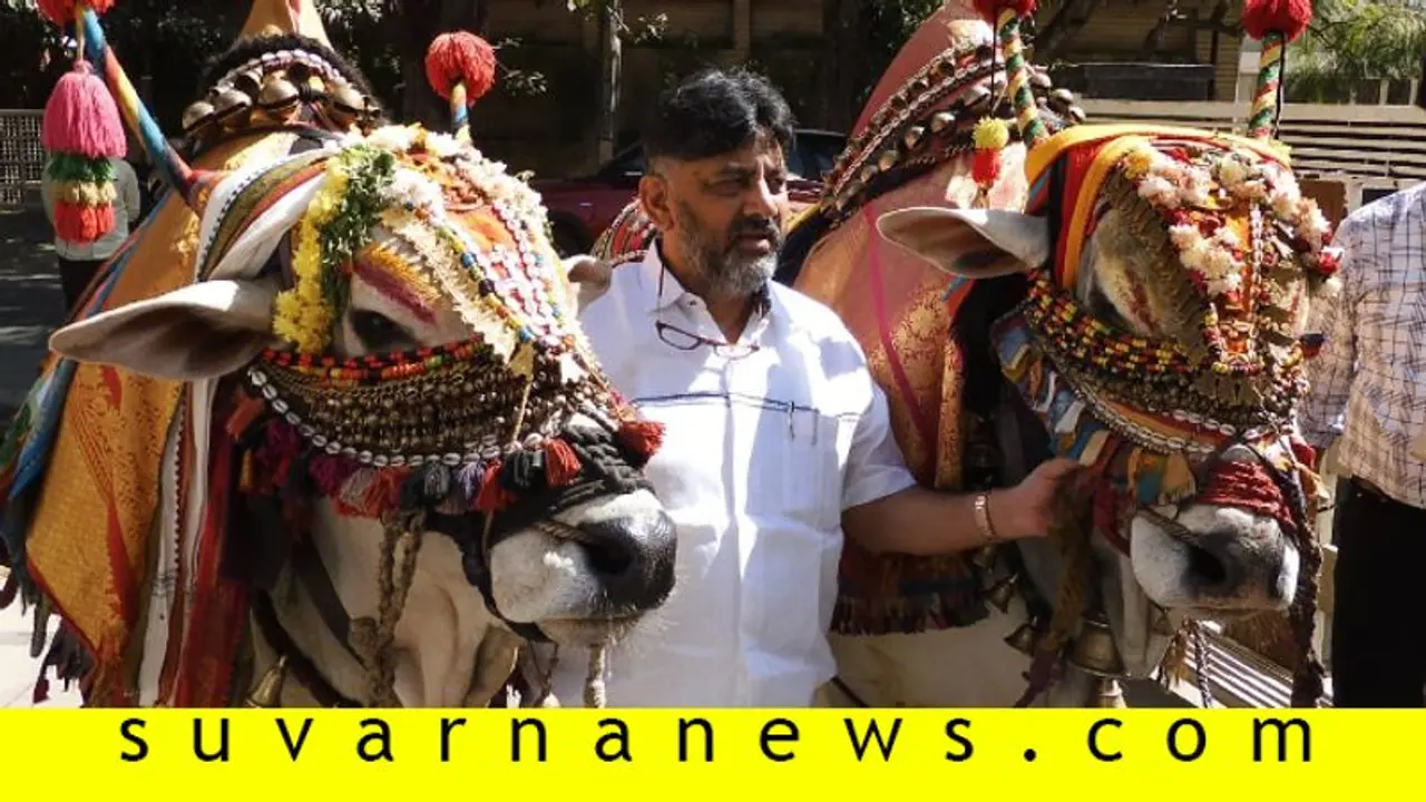 ಉಳುಮೆ ಮಾಡಿಕೊಂಡಿರ್ತೀನಿ, ರೇಸಲ್ಲಿ ನಾನಿಲ್ಲ!: ಕಣದಿಂದ ಹಿಂದೆ ಸರಿದ್ರಾ ಡಿಕೆಶಿ? ಉಳುಮೆ ಮಾಡಿಕೊಂಡಿರ್ತೀನಿ, ರೇಸಲ್ಲಿ ನಾನಿಲ್ಲ!: ಕಣದಿಂದ ಹಿಂದೆ ಸರಿದ್ರಾ ಡಿಕೆಶಿ?
