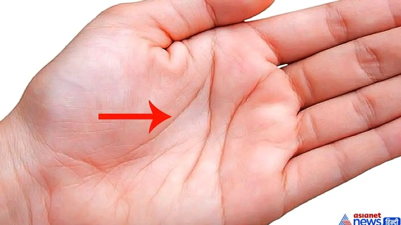 हथेली की जीवन रेखा से तय होती है आपकी उम्र, जानिए इससे जुड़े शुभ अशुभ संकेत हथेली की जीवन रेखा से तय होती है आपकी उम्र, जानिए इससे जुड़े शुभ अशुभ संकेत
