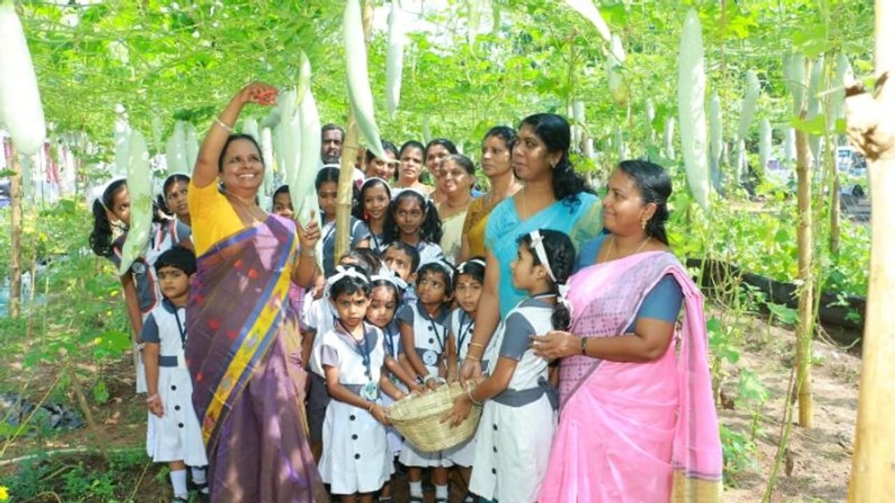 പച്ചക്കറികൾ വിളയിക്കുന്നതിന് മാതൃക; മുഹമ്മ സിഎംഎസ് എൽ പി സ്കൂൾ കാർഷിക പുരസ്കാര നിറവിൽ പച്ചക്കറികൾ വിളയിക്കുന്നതിന് മാതൃക; മുഹമ്മ സിഎംഎസ് എൽ പി സ്കൂൾ കാർഷിക പുരസ്കാര നിറവിൽ