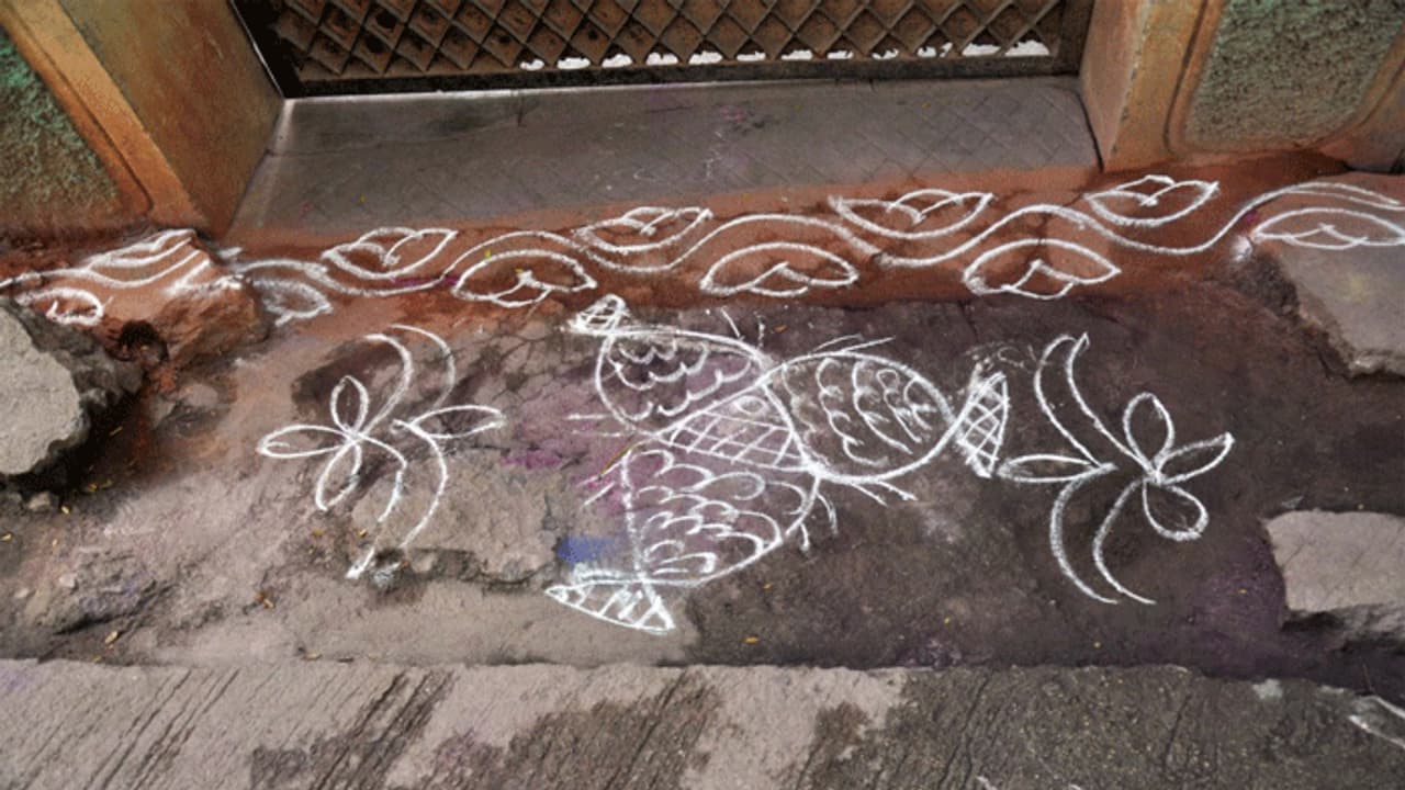 మూడు చేపల ముగ్గూ కనుమ