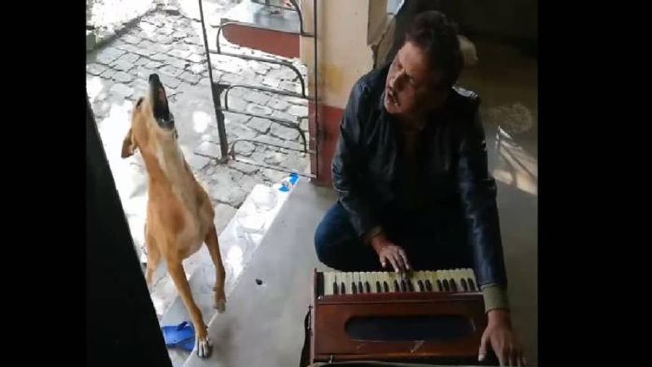 ഉടമയ്ക്കൊപ്പം പാട്ടുപാടി നായ, തകര്പ്പന് ഡുയറ്റെന്ന് സോഷ്യല് മീഡിയ ഉടമയ്ക്കൊപ്പം പാട്ടുപാടി നായ, തകര്പ്പന് ഡുയറ്റെന്ന് സോഷ്യല് മീഡിയ