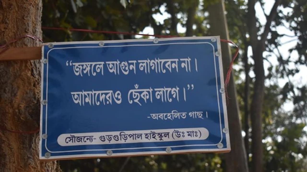 অস্ট্রেলিয়ার দাবানলে আতঙ্ক, জঙ্গলমহলে মানুষকে সচেতনতার বার্তা পড়ুয়াদের