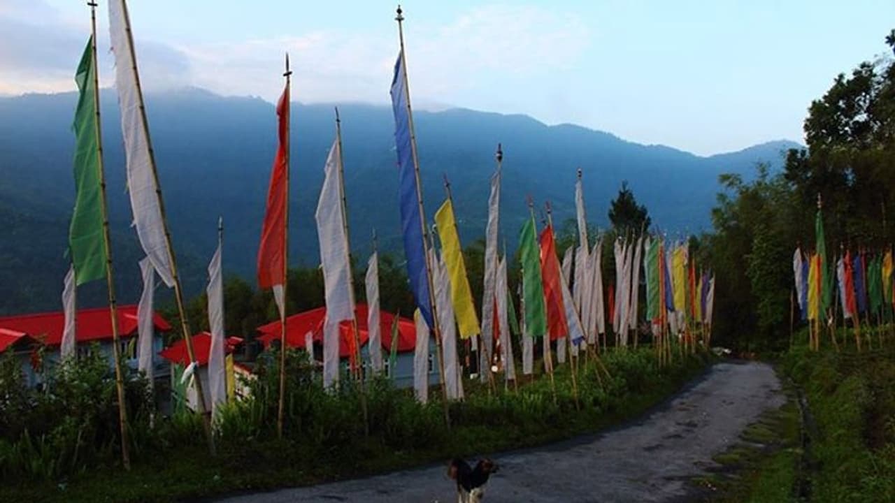 আজ উত্তরবঙ্গের ৫ জেলায় বৃষ্টির পূর্বাভাস, নতুন করে পশ্চিমী ঝঞ্ঝা আসছে উত্তর পশ্চিম ভারতে