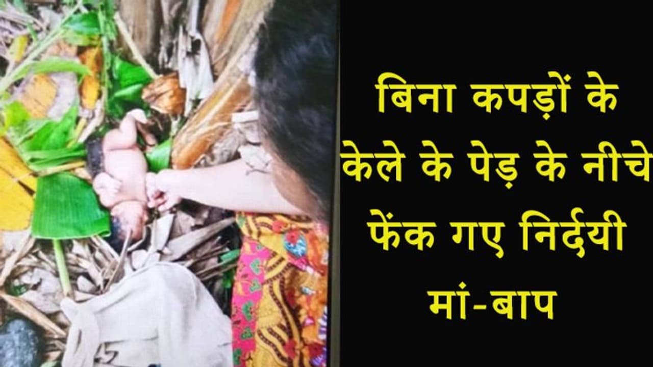 पत्थरदिल मां बाप ने पैदा होते ही नवजात को कचरे में फेंका, नाभि से तब भी जुड़ा ही था गर्भनाल पत्थरदिल मां बाप ने पैदा होते ही नवजात को कचरे में फेंका, नाभि से तब भी जुड़ा ही था गर्भनाल