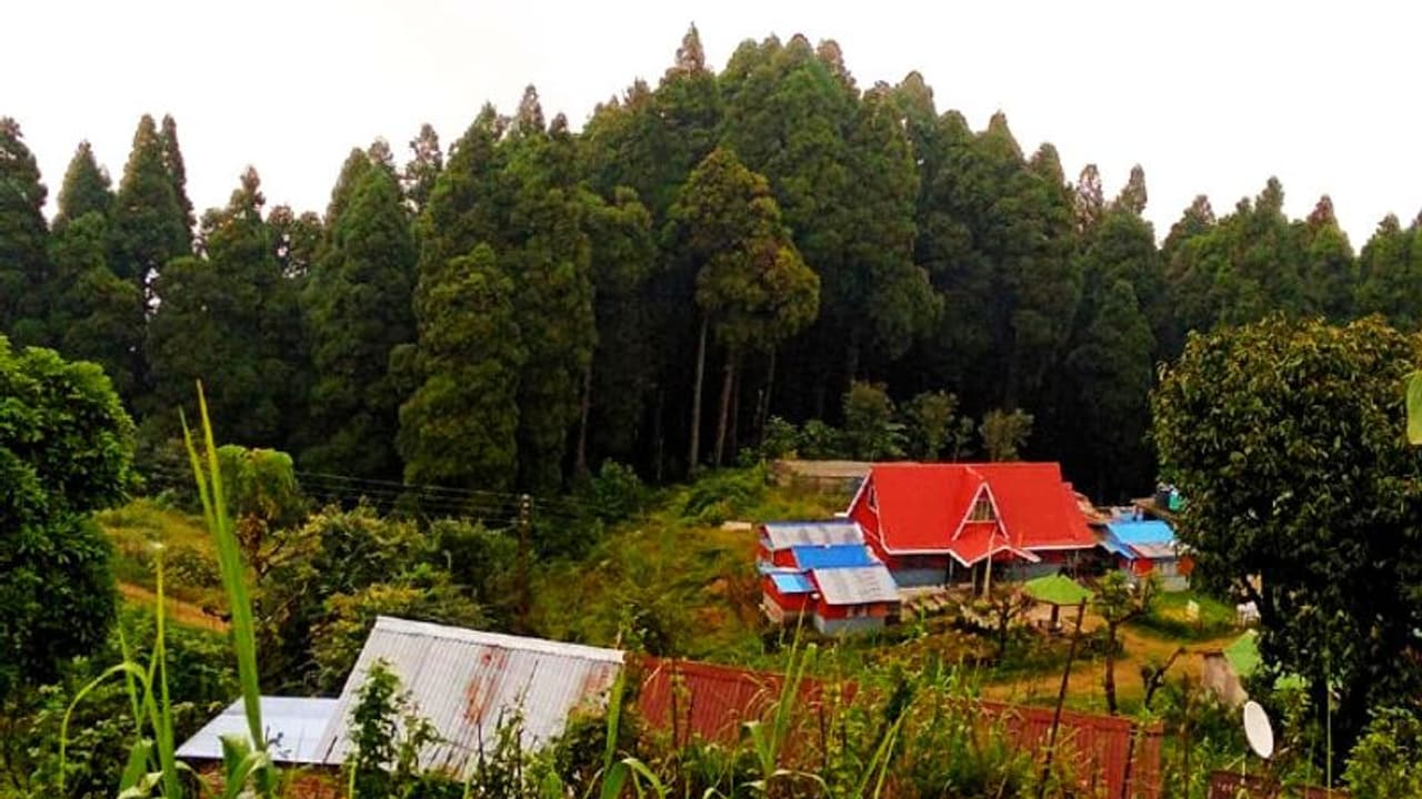 অরণ্য, মেঘ, কুয়াশা গাছের গায়ে পাতায় মিড় লাগিয়ে যুগলবন্দী রচনা করে চটকপুরে অরণ্য, মেঘ, কুয়াশা গাছের গায়ে পাতায় মিড় লাগিয়ে যুগলবন্দী রচনা করে চটকপুরে