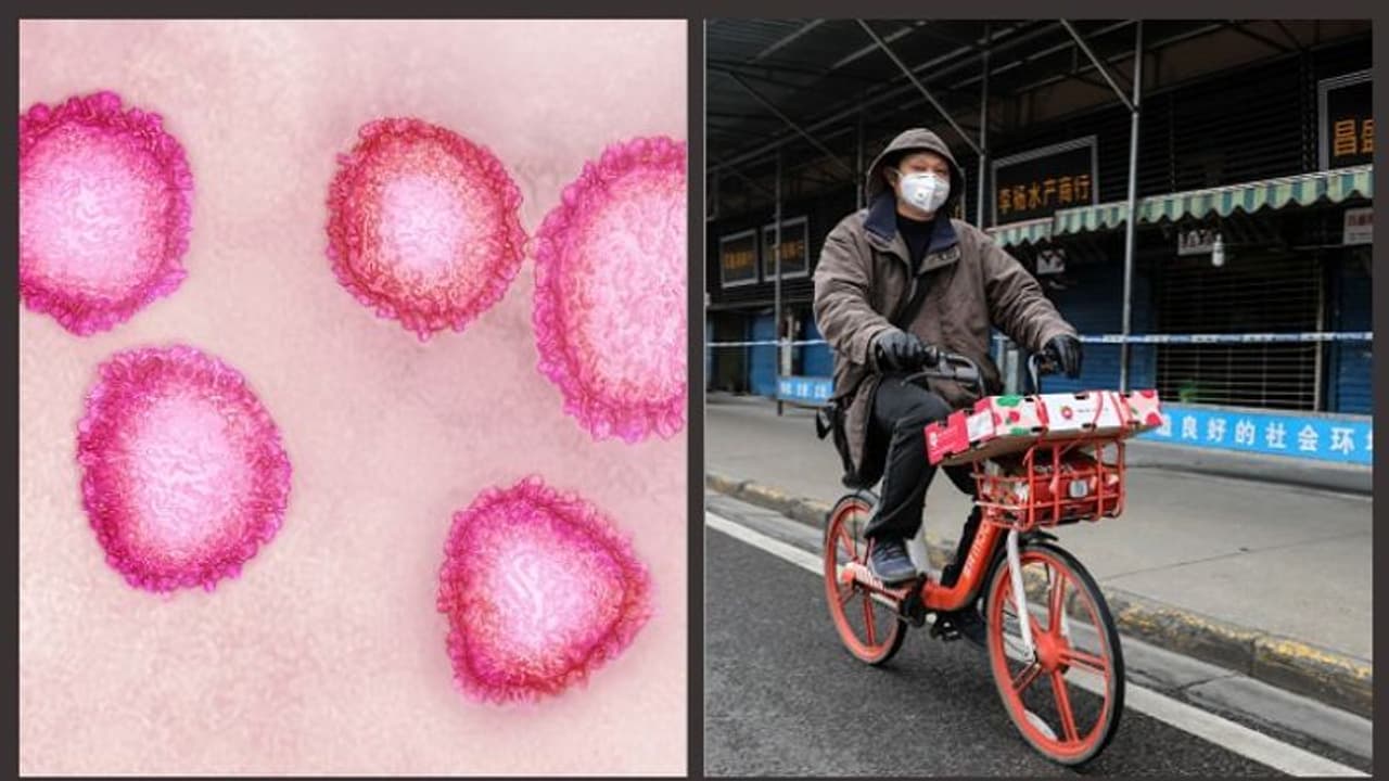 ചൈനയിൽ ഭീതി വിതച്ച് കൊറോണ: സ്ഥിതി അതീവ ഗൗരവമെന്ന് വിലയിരുത്തല്; ഇതുവരെ രണ്ട് മരണം ചൈനയിൽ ഭീതി വിതച്ച് കൊറോണ: സ്ഥിതി അതീവ ഗൗരവമെന്ന് വിലയിരുത്തല്; ഇതുവരെ രണ്ട് മരണം