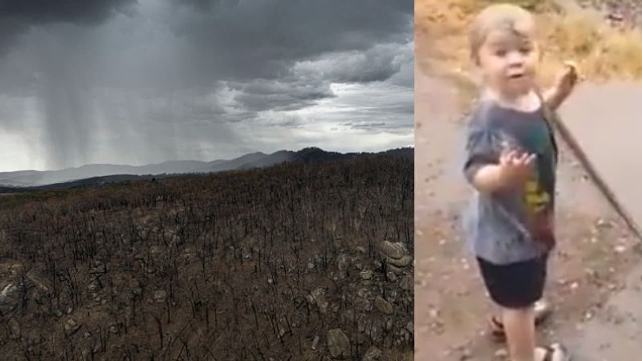 অবশেষে স্বস্তির বৃষ্টি অষ্ট্রেলিয়ায়, খুদের নাচে মাতল নেট দুনিয়া অবশেষে স্বস্তির বৃষ্টি অষ্ট্রেলিয়ায়, খুদের নাচে মাতল নেট দুনিয়া