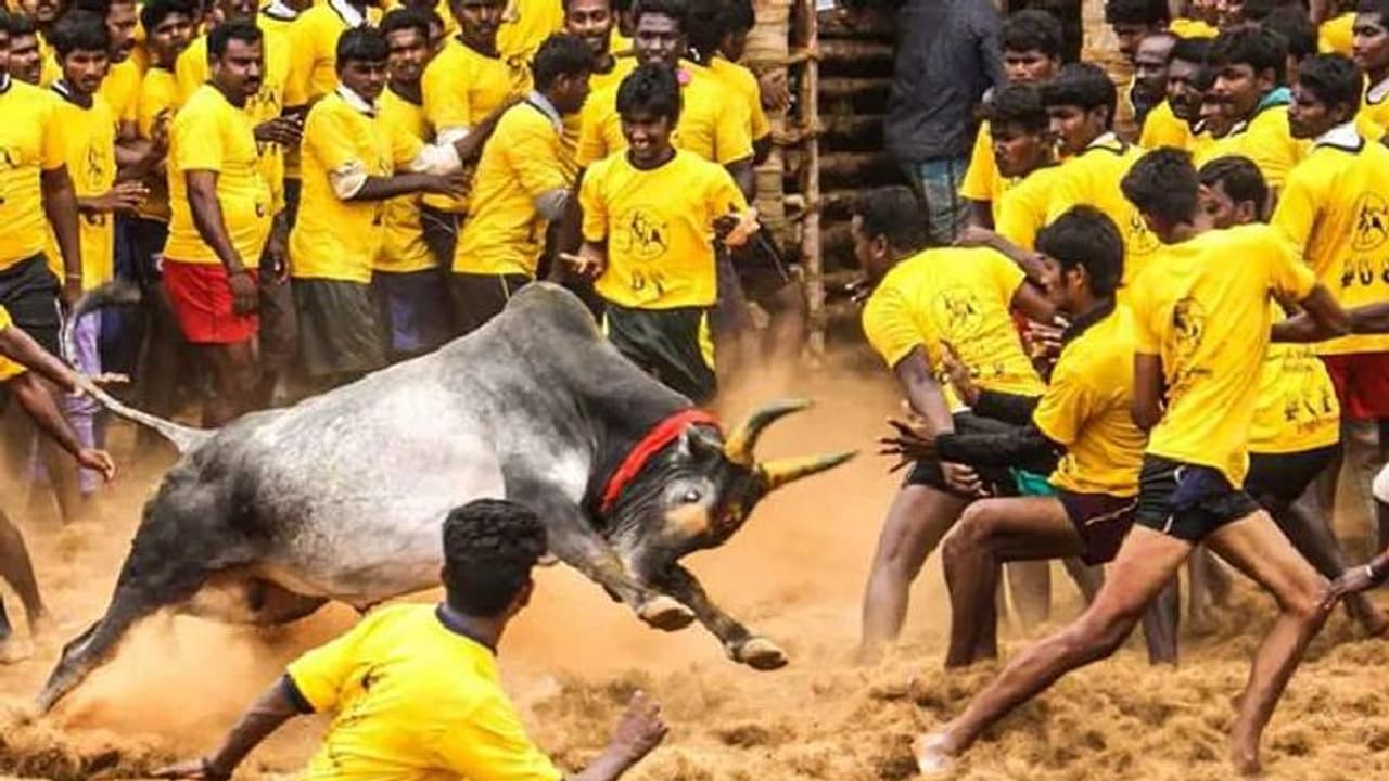 Breaking ஜல்லிக்கட்டு போட்டி நடத்த அனுமதி... எடப்பாடி பழனிசாமி அதிரடி சரவெடி அறிவிப்பு..! Breaking ஜல்லிக்கட்டு போட்டி நடத்த அனுமதி... எடப்பாடி பழனிசாமி அதிரடி சரவெடி அறிவிப்பு..!