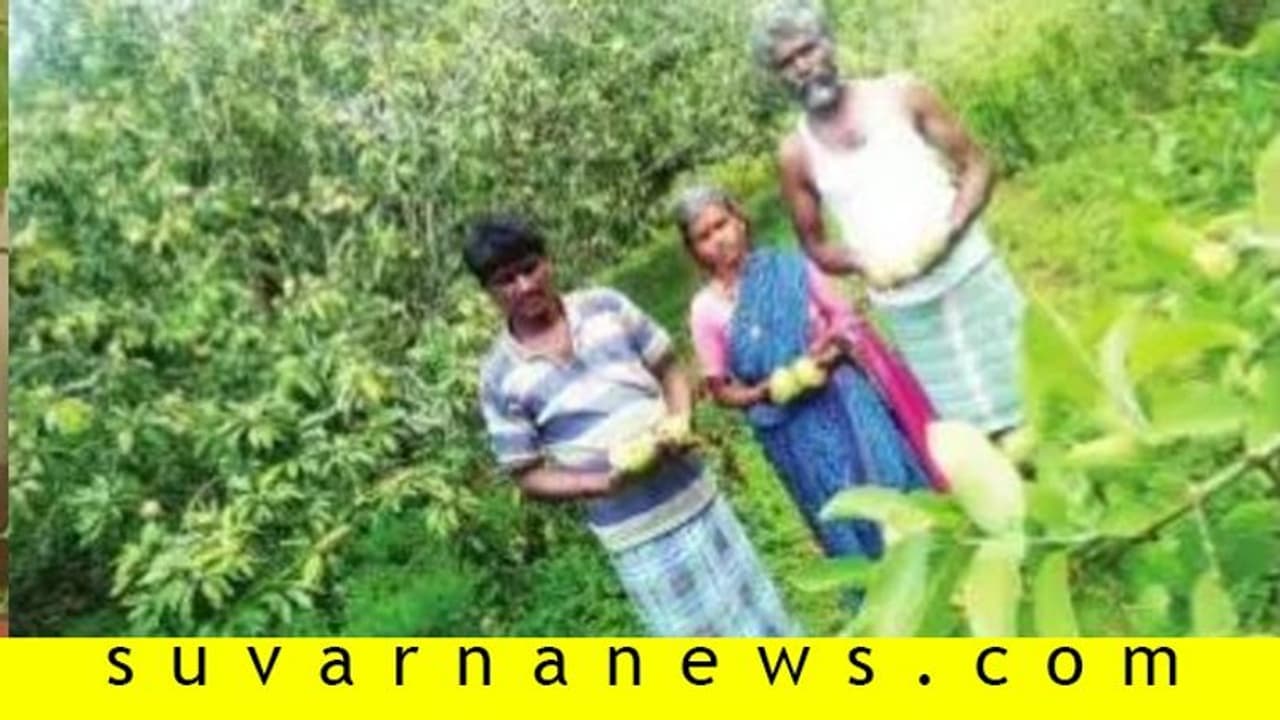 ಕುಡಿತದ ದಾಸನಾಗಿದ್ದ ಯುವಕನಿಗೆ ಯುವ ರೈತ ಪ್ರಶಸ್ತಿ, ಸಕ್ಸಸ್ಫುಲ್ ರೈತನ ಸೂಪರ್ ಸ್ಟೋರಿ ಕುಡಿತದ ದಾಸನಾಗಿದ್ದ ಯುವಕನಿಗೆ ಯುವ ರೈತ ಪ್ರಶಸ್ತಿ, ಸಕ್ಸಸ್ಫುಲ್ ರೈತನ ಸೂಪರ್ ಸ್ಟೋರಿ