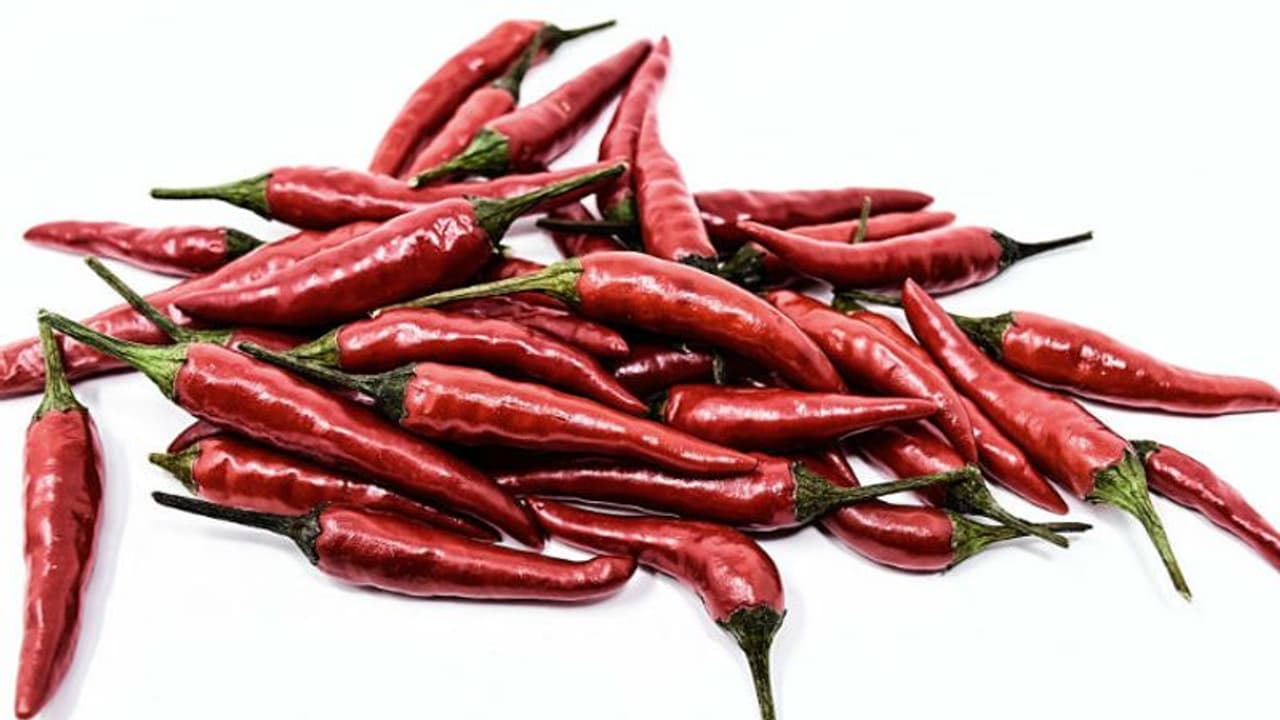 വറ്റല്മുളകിന് വില കൂടിയോ, കാര്യമാക്കണ്ട, ഇനി മുളക് വീട്ടില് കൃഷി ചെയ്യാം! വറ്റല്മുളകിന് വില കൂടിയോ, കാര്യമാക്കണ്ട, ഇനി മുളക് വീട്ടില് കൃഷി ചെയ്യാം!