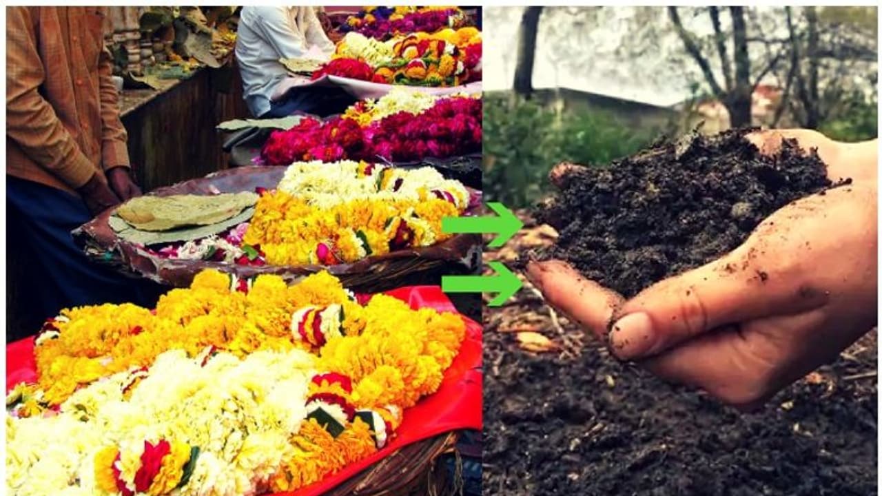 ഈ ക്ഷേത്രങ്ങളില് നേദിക്കുന്ന പാല് മോരാകും, പൂക്കള് മരങ്ങള്ക്ക് വളമാകും; വ്യത്യസ്തമായ രീതി പിന്തുടര്ന്ന് ക്ഷേത്രങ്ങള്... ഈ ക്ഷേത്രങ്ങളില് നേദിക്കുന്ന പാല് മോരാകും, പൂക്കള് മരങ്ങള്ക്ക് വളമാകും; വ്യത്യസ്തമായ രീതി പിന്തുടര്ന്ന് ക്ഷേത്രങ്ങള്...