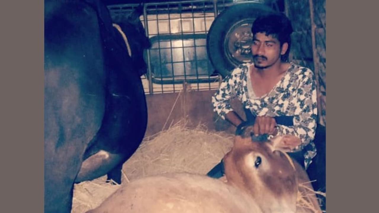 ಕಾರವಾರದಲ್ಲಿ ಅಕ್ರಮ ಜಾನುವಾರ ಸಾಗಾಟ : ಇಬ್ಬರ ಬಂಧನ ಕಾರವಾರದಲ್ಲಿ ಅಕ್ರಮ ಜಾನುವಾರ ಸಾಗಾಟ : ಇಬ್ಬರ ಬಂಧನ