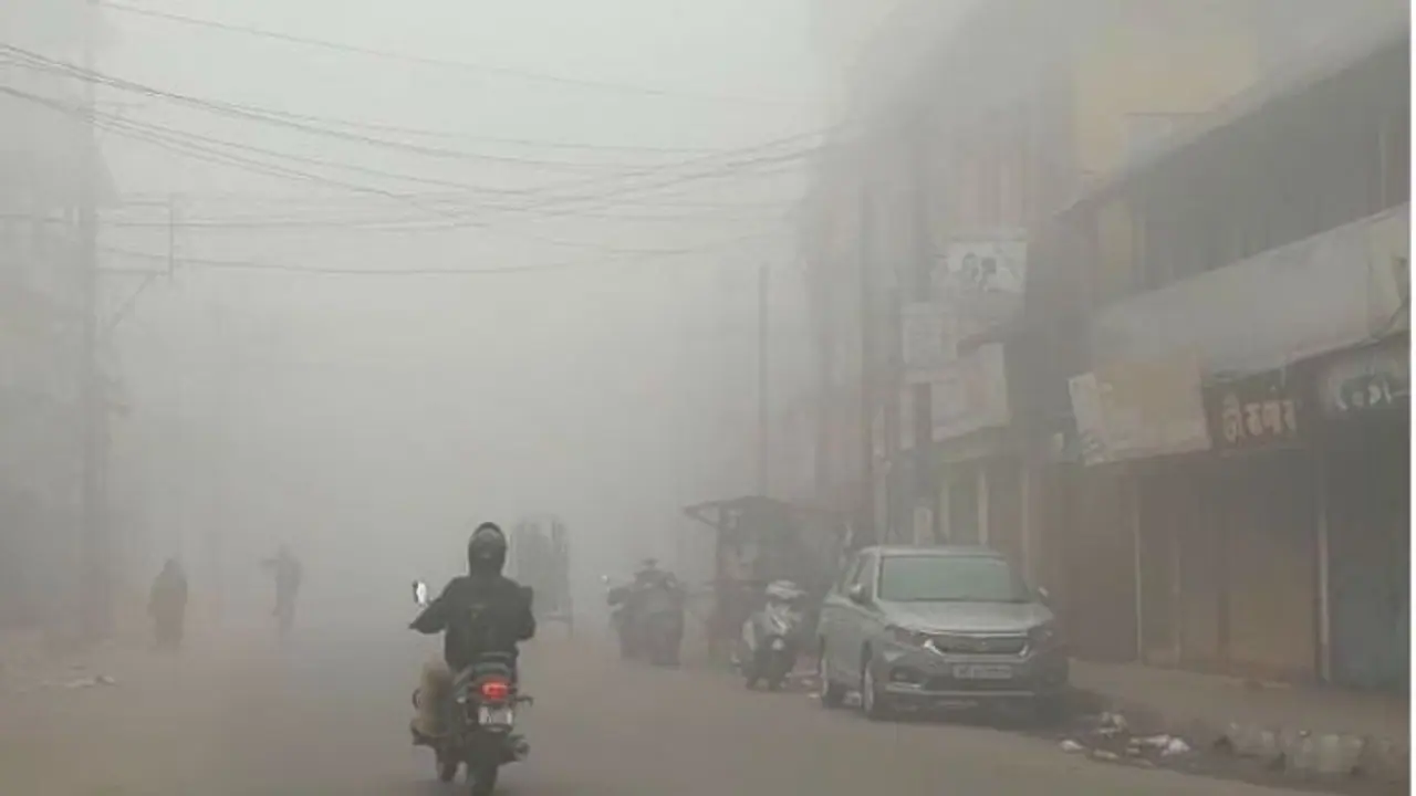 చలి గాలులు, దట్టమైన పొగమంచు.. దేశంలో మరో మూడు రోజులు ఇదే వాతావరణం: ఐఎండీ చలి గాలులు, దట్టమైన పొగమంచు.. దేశంలో మరో మూడు రోజులు ఇదే వాతావరణం: ఐఎండీ