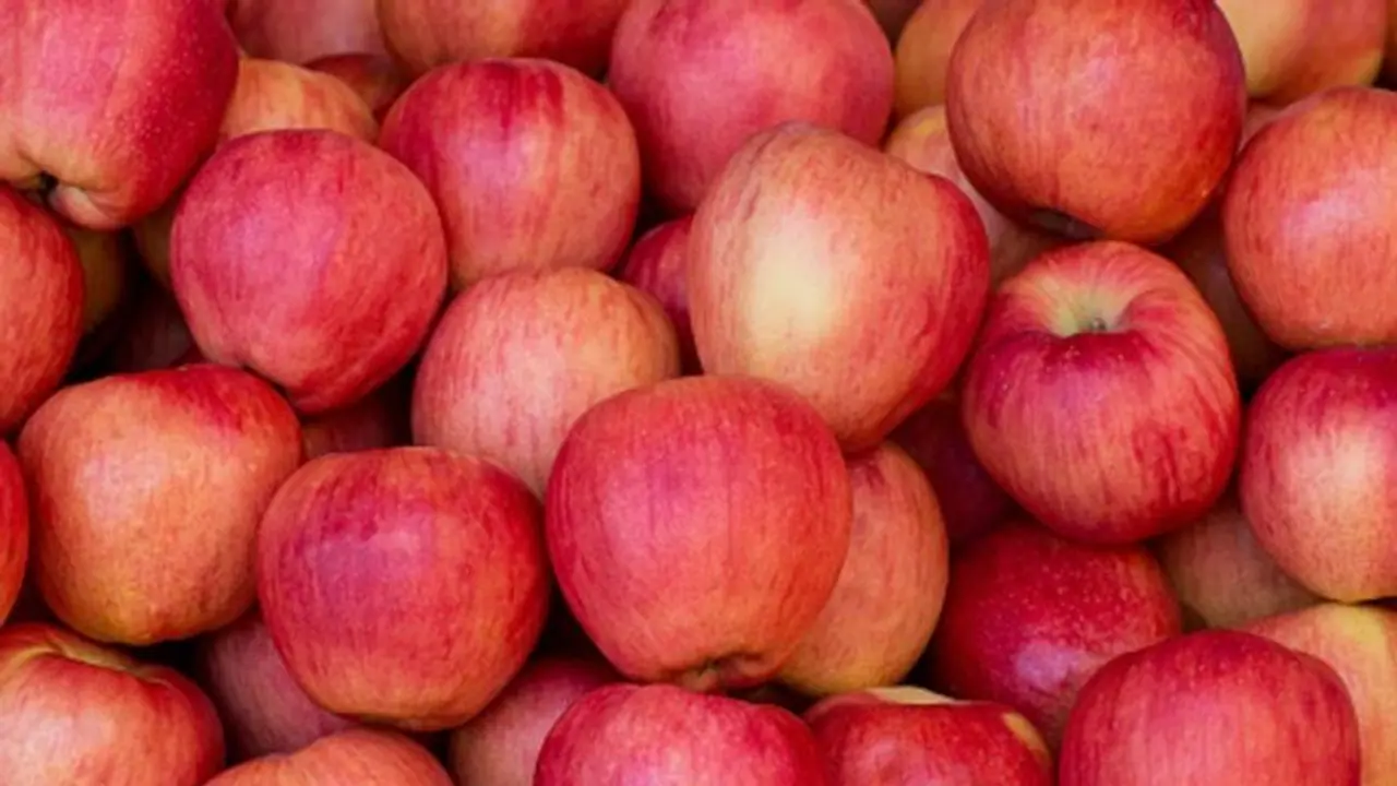 കശ്മീരി ആപ്പിൾ കടൽ കടക്കും; ആദ്യമായി രുചിക്കാൻ യുഎഇ കശ്മീരി ആപ്പിൾ കടൽ കടക്കും; ആദ്യമായി രുചിക്കാൻ യുഎഇ